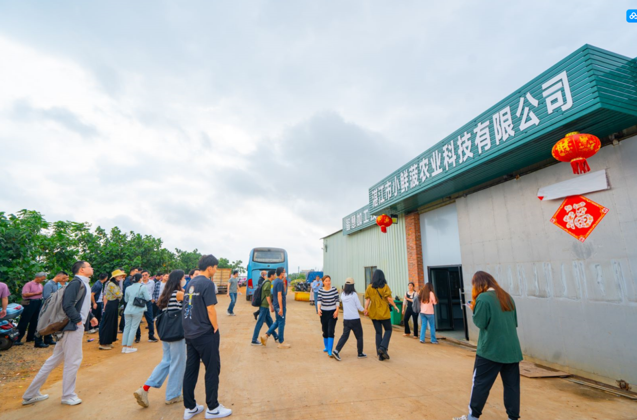 图片 1.png 图片 1.png