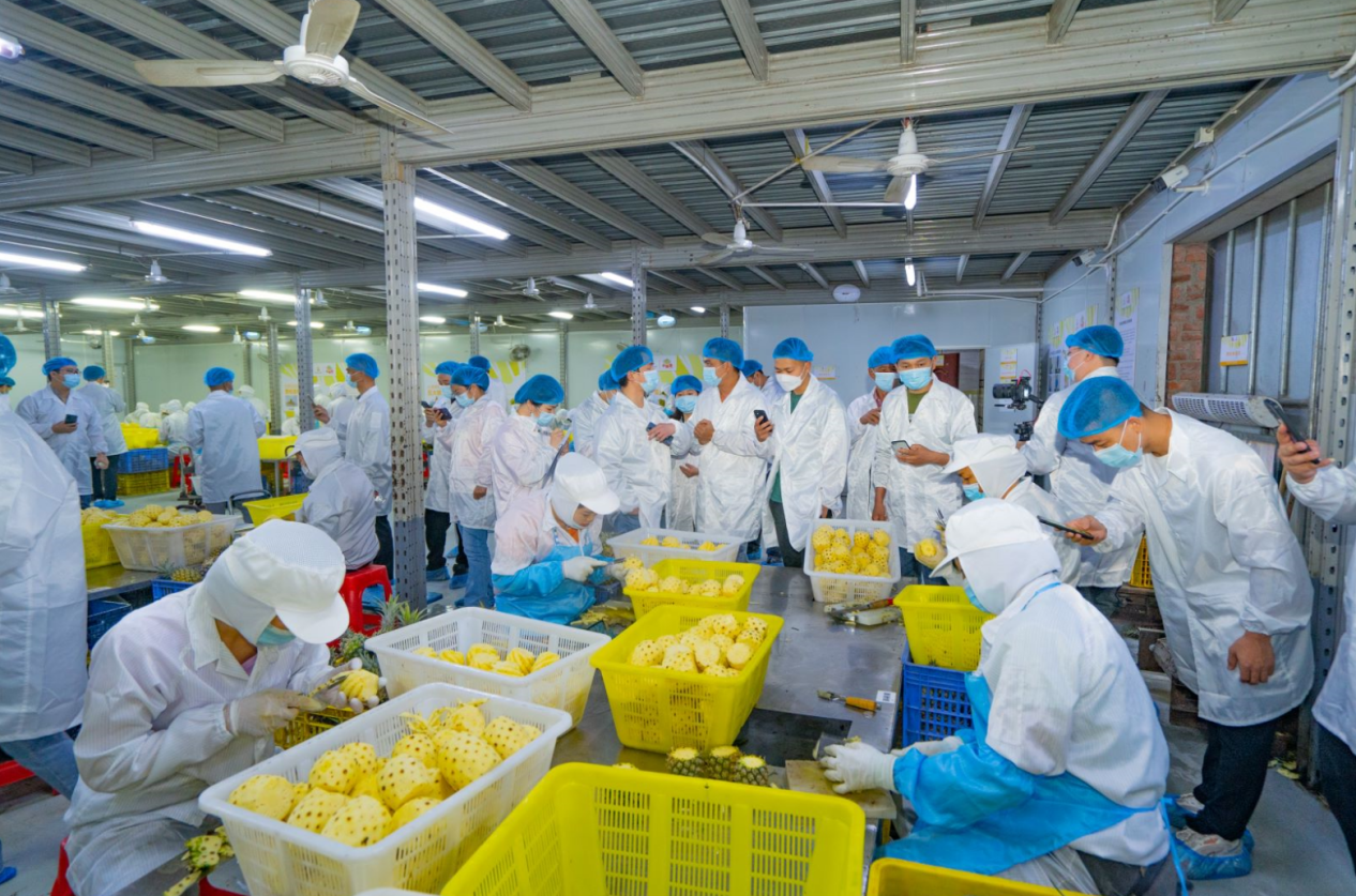 图片 5.png 图片 5.png