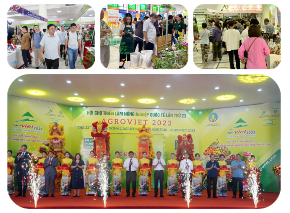 6b2c75bf9489a62023b3b4eba146f367.png 6b2c75bf9489a62023b3b4eba146f367.png